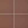 Daltile Quarry Textures 8" x 8" Floor Tile in Abrasive Diablo Red (25 PC per Carton) (11.11 SQFT per Carton)